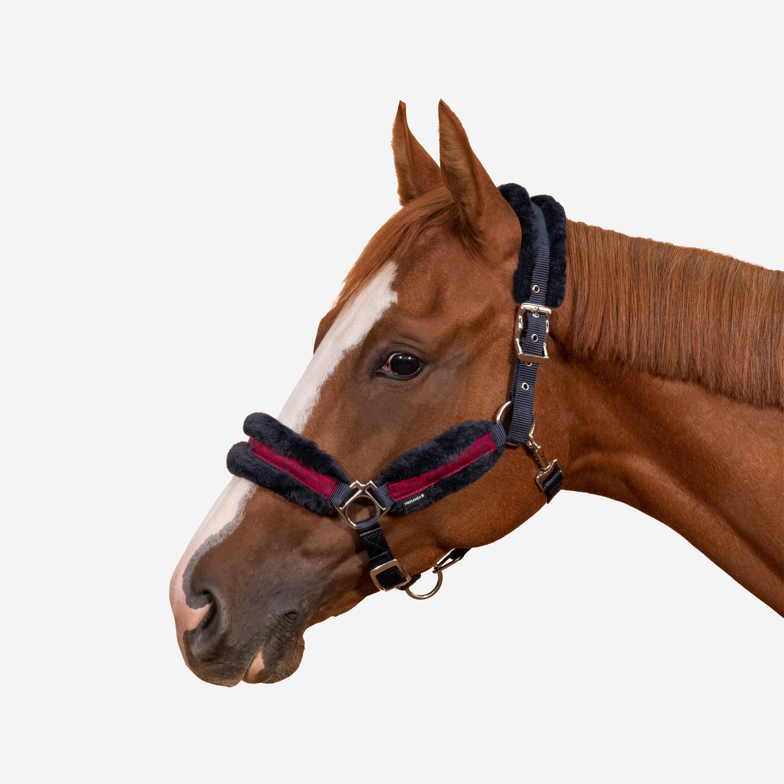Fouganza - Licol Équitation Poney - Confort Bleu Noir / Rose Cardinal / Bleu Noir - Licol - Sport Equestre - Bleu-rose-rouge - Ps - Decathlon
