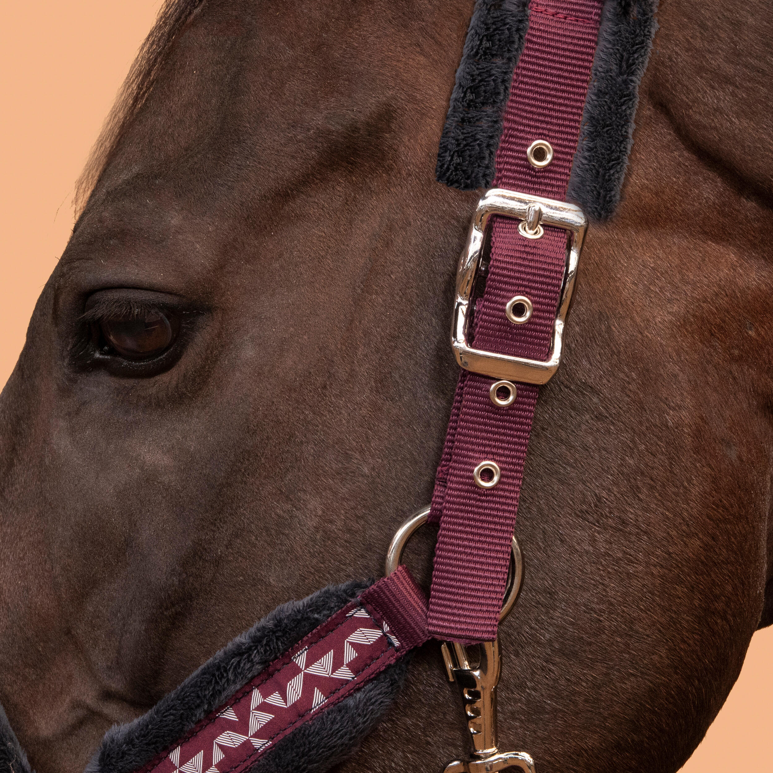 Horse Riding Halter + Leadrope Kit for Horse & Pony Comfort - Burgundy/Blue/Black 4/4