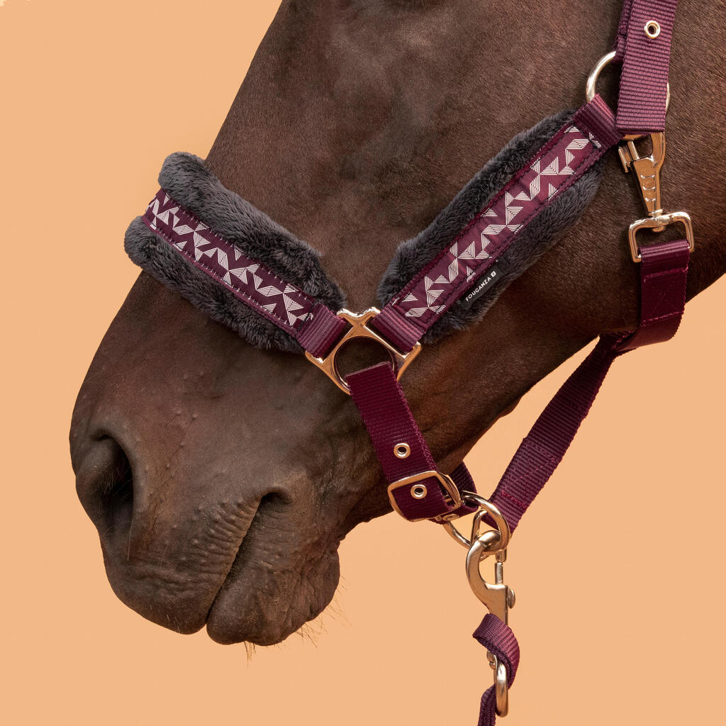 Horse Riding Halter + Leadrope Kit for Horse & Pony Comfort - Burgundy/Blue/Black