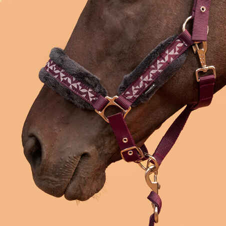 Horse and Pony Riding Halter + Leadrope Kit Comfort - Dark Burgundy/Dark Blue