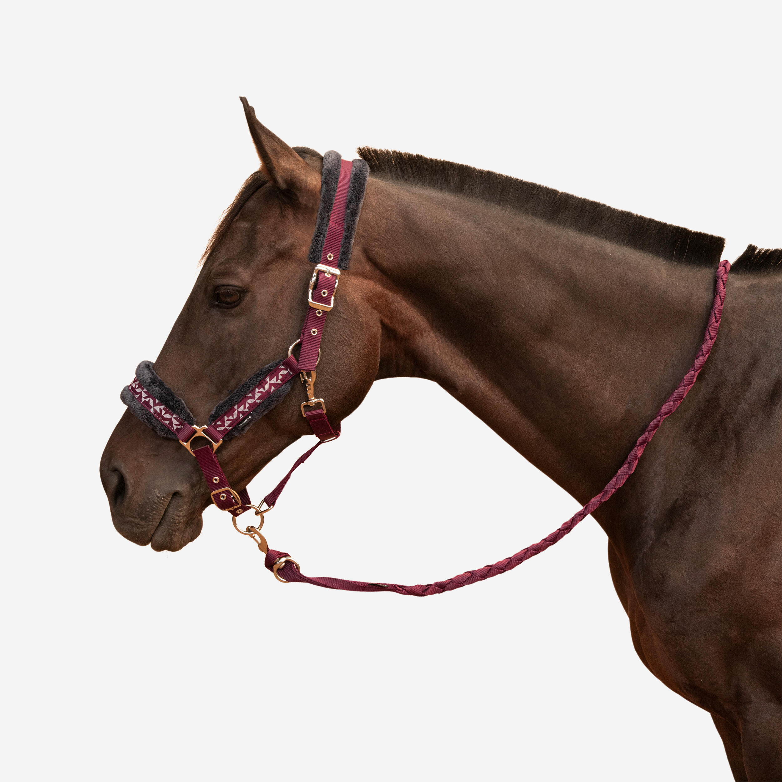 Horse Riding Halter + Leadrope Kit for Horse & Pony Comfort - Burgundy/Blue/Black 1/4