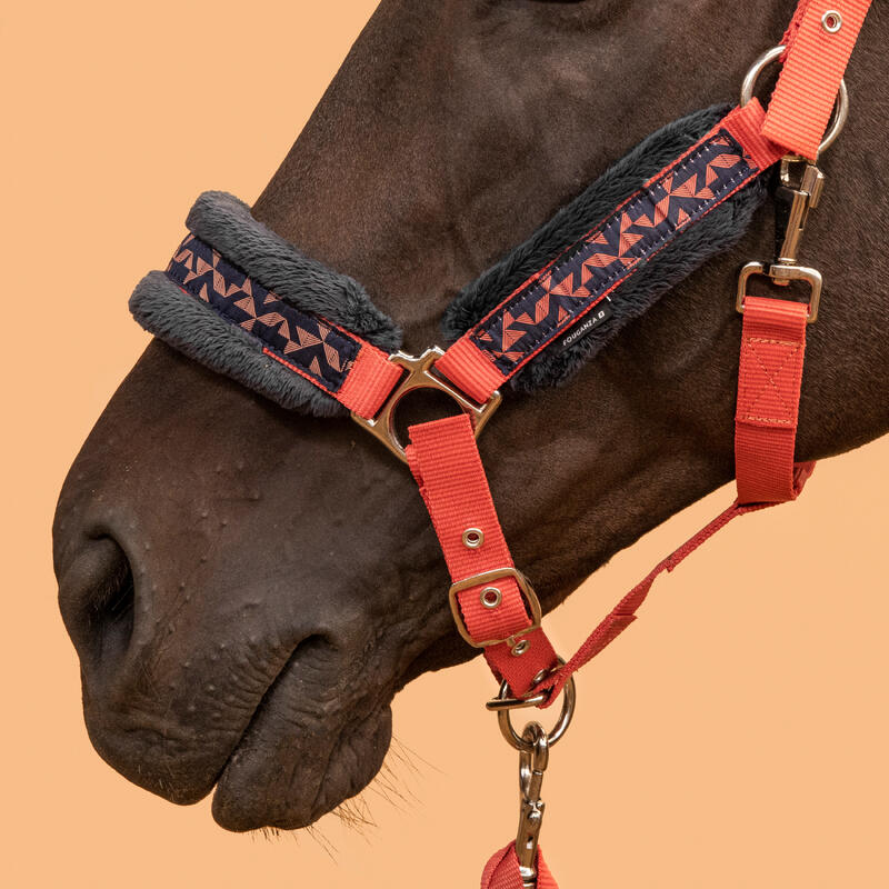 Pack licol + longe équitation cheval et poney CONFORT Terracotta Bleu noir