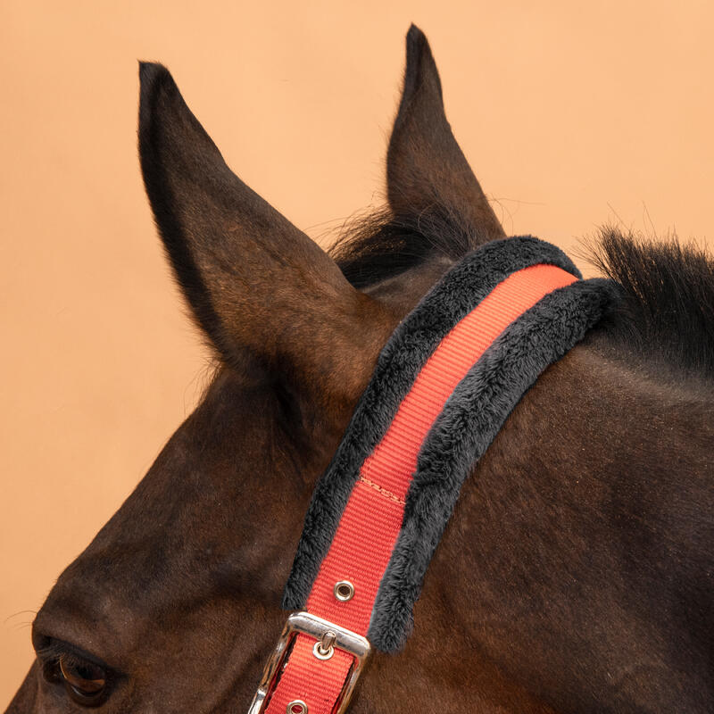Pack licol + longe équitation cheval et poney CONFORT Terracotta Bleu noir