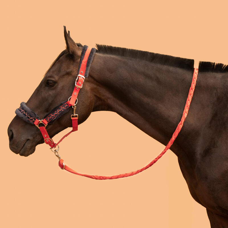 Kit capezza e longhina equitazione pony e cavallo CONFORT arancione-blu
