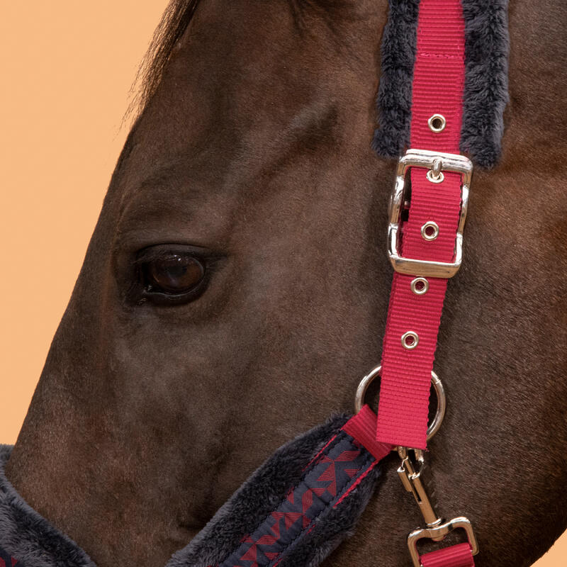 Pack licol + longe équitation cheval et poney CONFORT Rose cardinal / Bleu noir