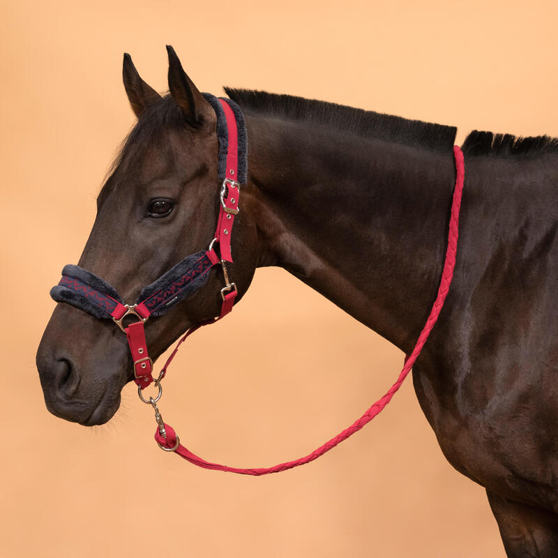Pack Cabestro + Ronzal Equitación Caballo Poni Confort Rosa Cardenal Azul Negro