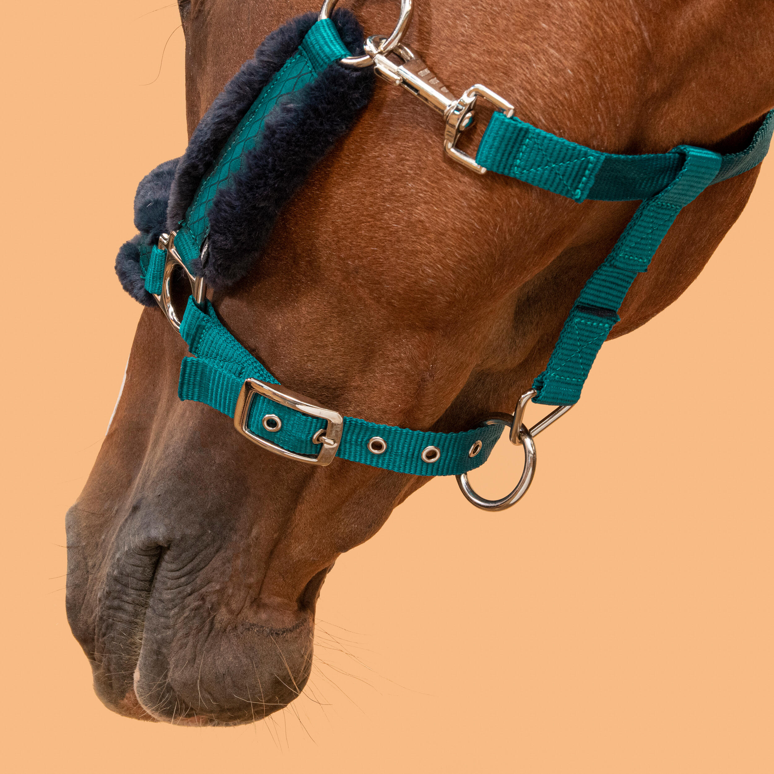 Horse Riding Halter Comfort - Dark Petrol/Dark Blue 5/5