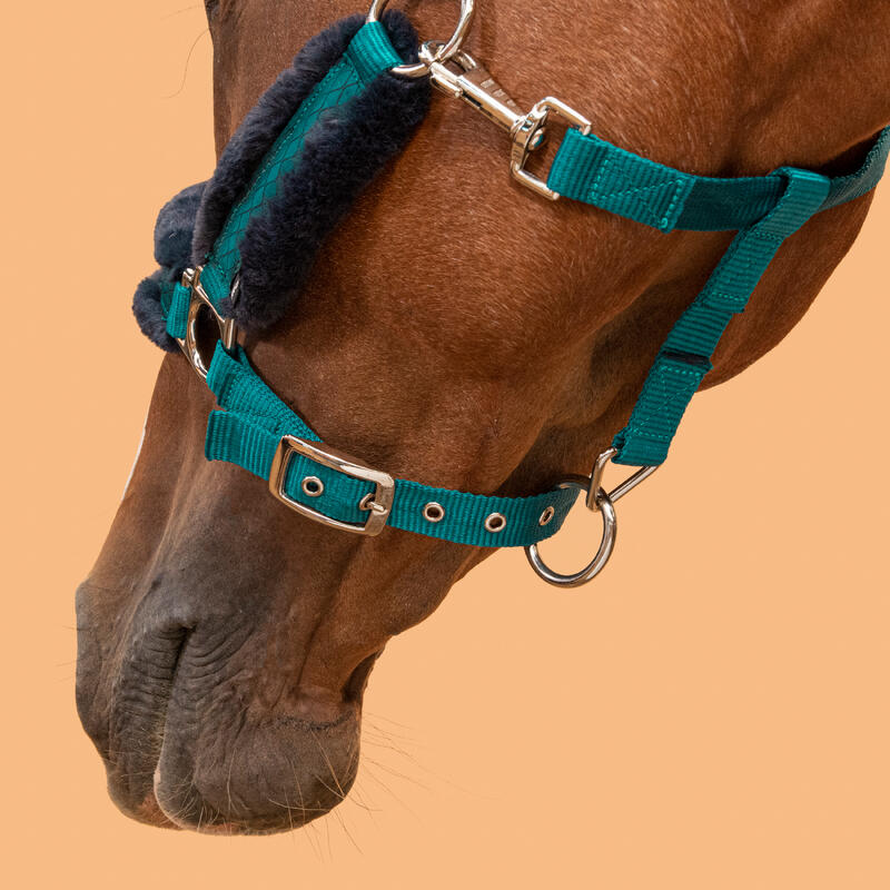 Licol équitation cheval CONFORT Pétrole sombre / Bleu noir