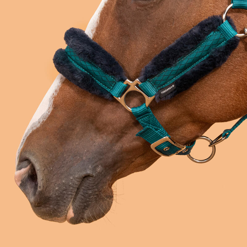 Halfter Pferd - Comfort türkis/dunkelblau