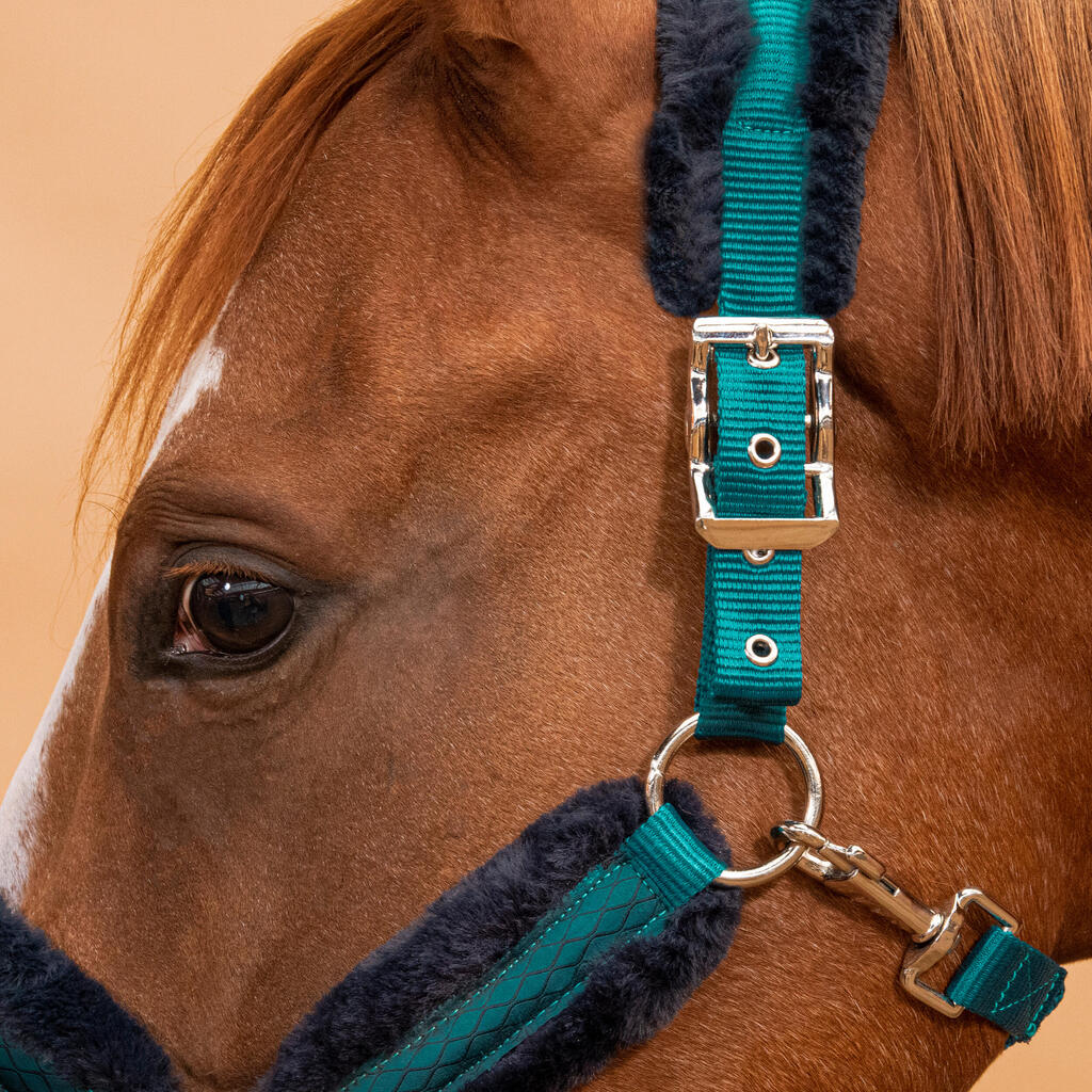 Pony Riding Halter Comfort - Dark Blue/Deep Pink