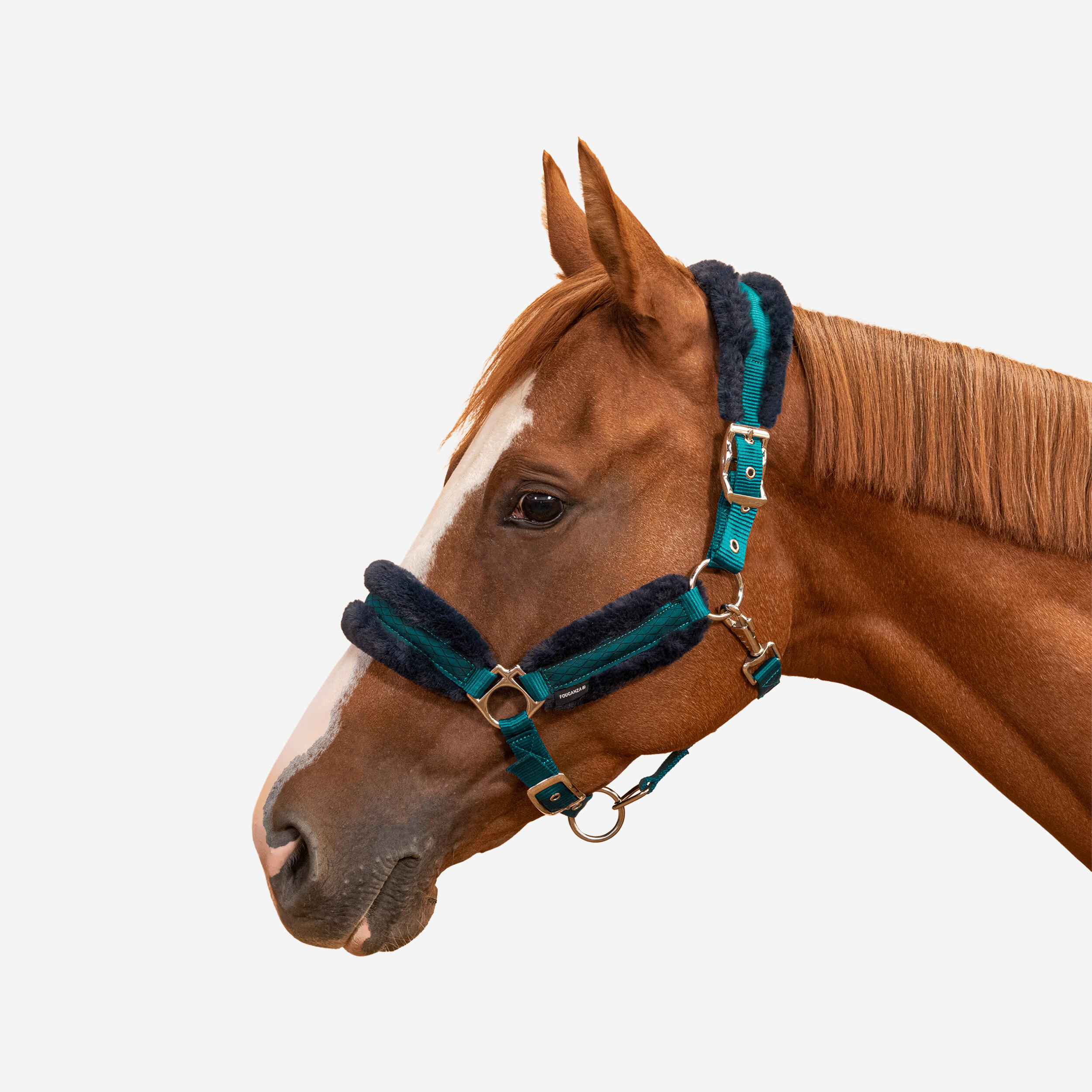 Fouganza - Licol Équitation Cheval - Confort Pétrole Sombre / Bleu Noir - Licol - Sport Equestre - Bleu-vert - - Decathlon