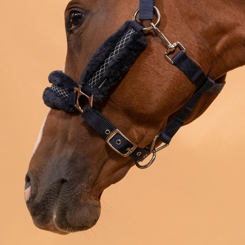Capezza equitazione cavallo CONFORT azzurro-nero