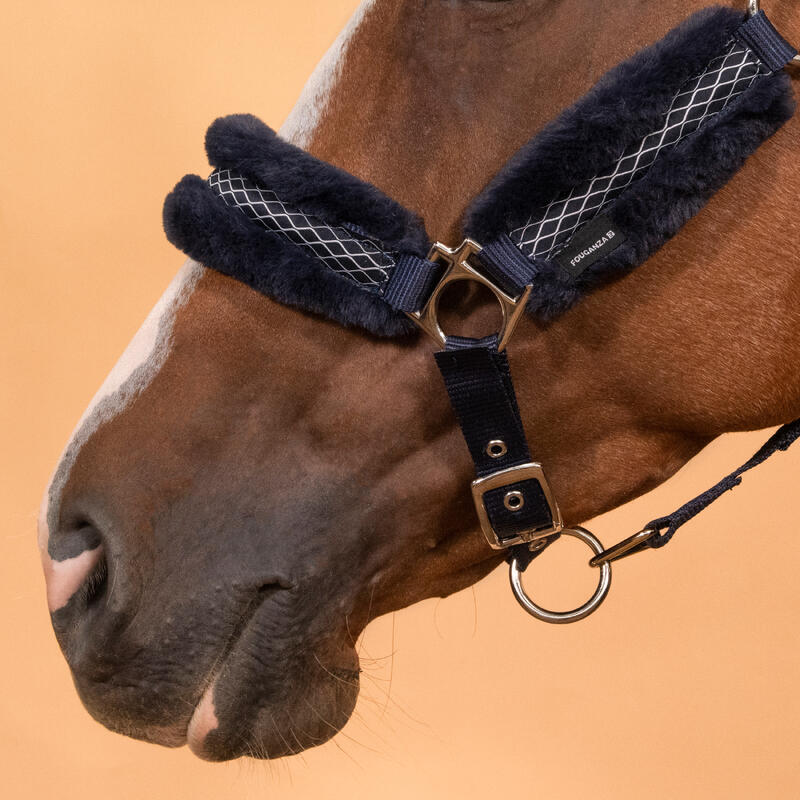 Capezza equitazione cavallo CONFORT azzurro-nero