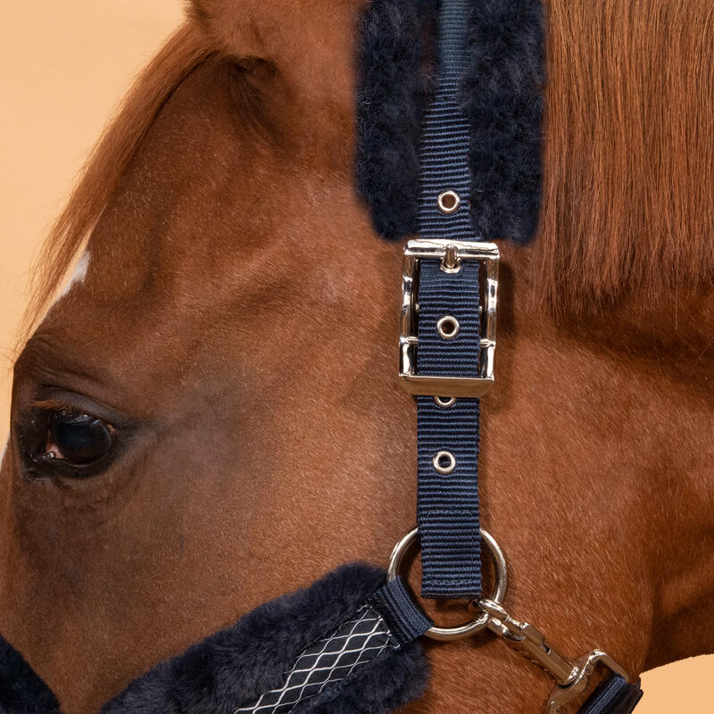 Halster voor paard Comfort donkerblauw