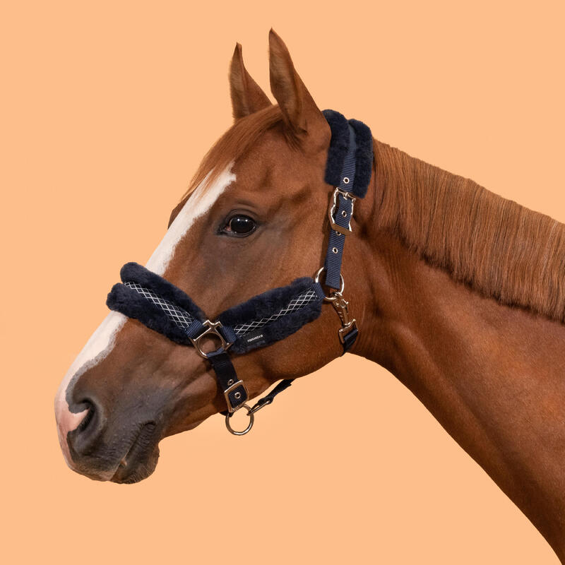Licol équitation cheval CONFORT Bleu noir