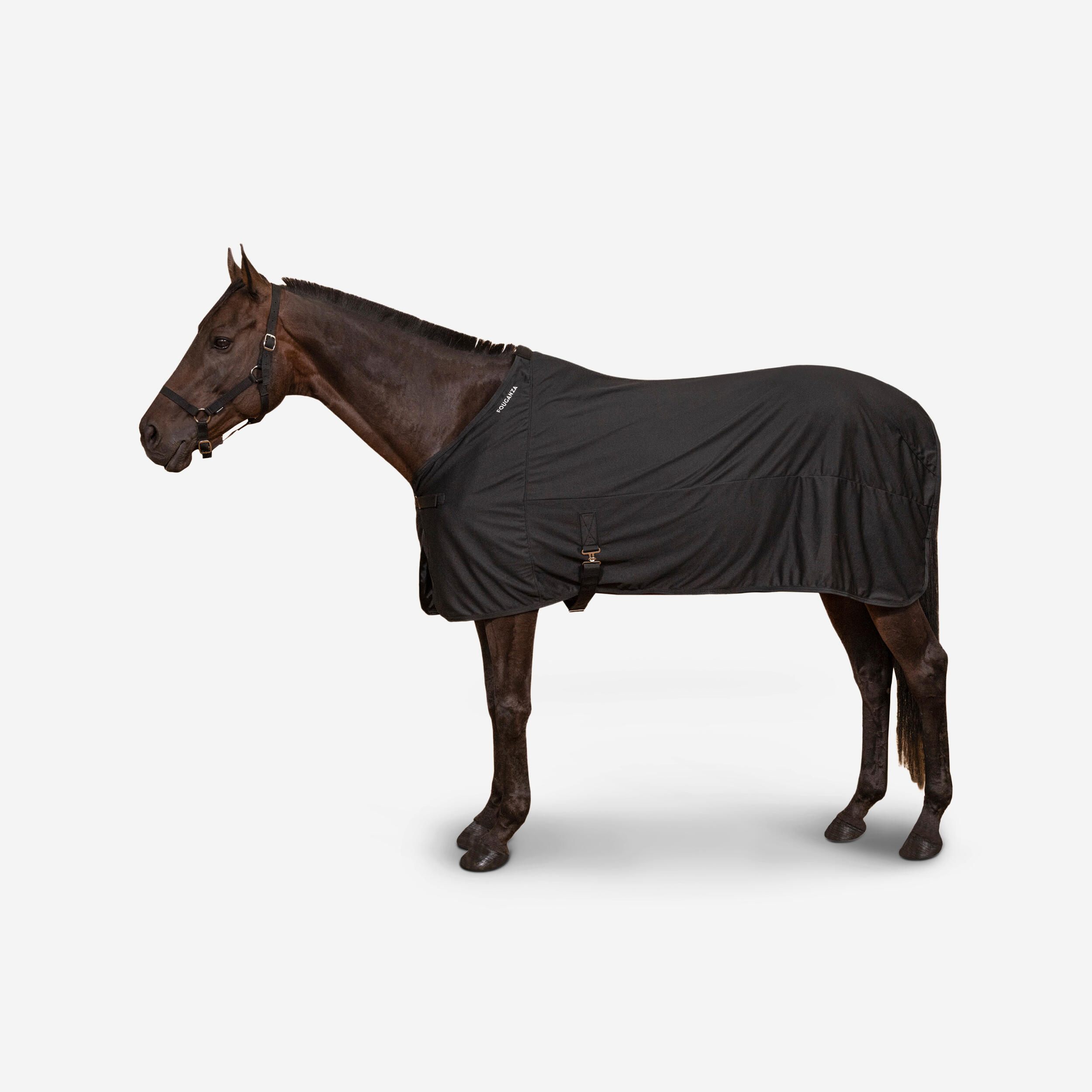 Decathlon | Coperta assorbente equitazione pony e cavallo microfibra nera |  Fouganza