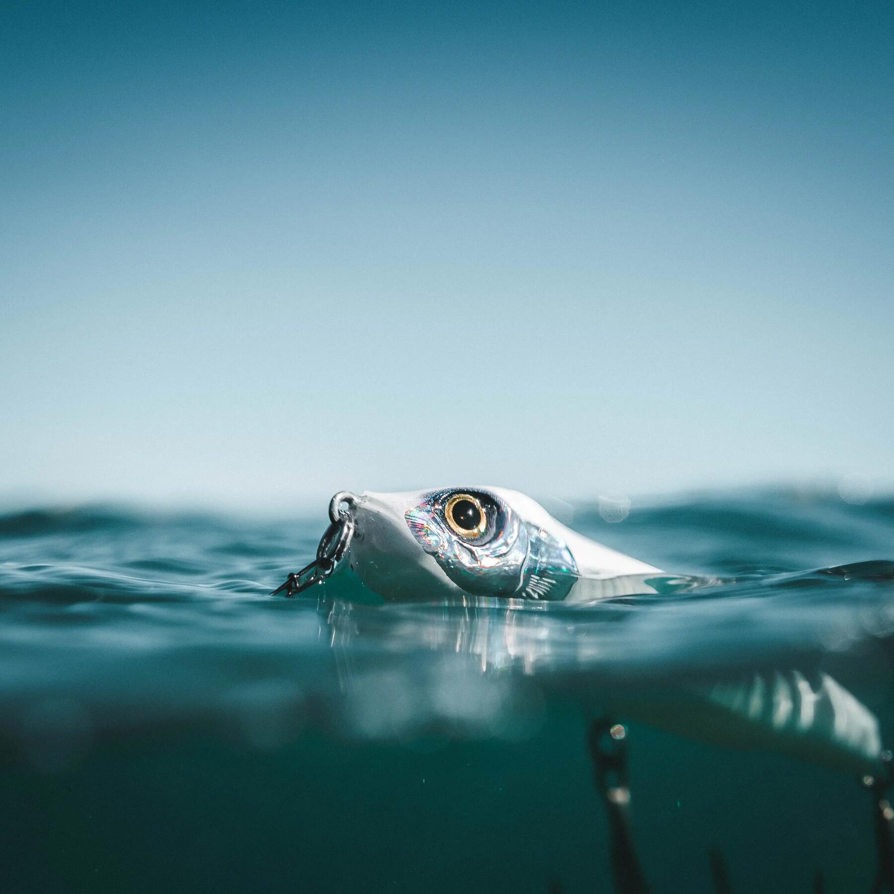 pesca in mare