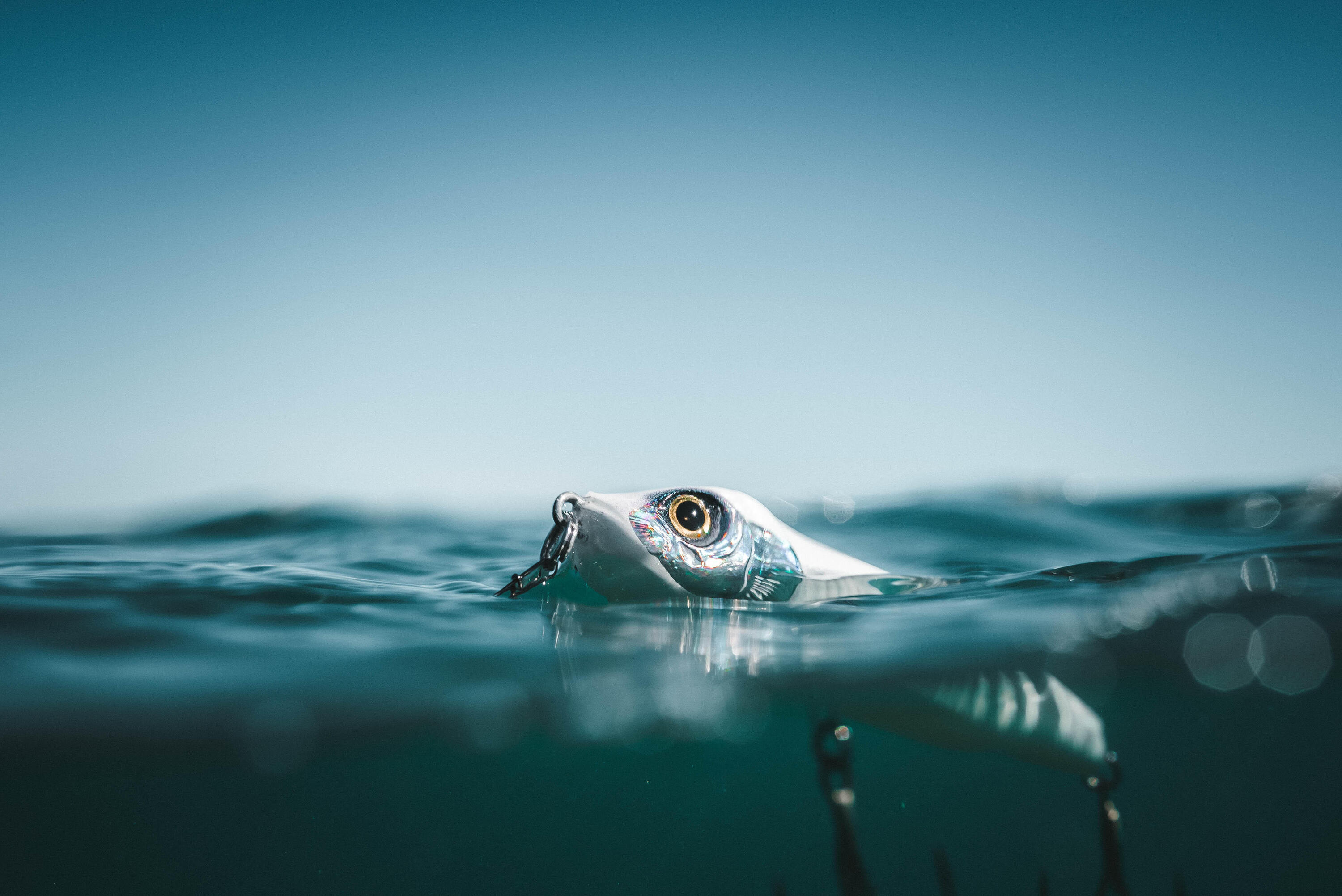 Stickbait exofly 130 f blanc pêche au leurre en mer 10/13