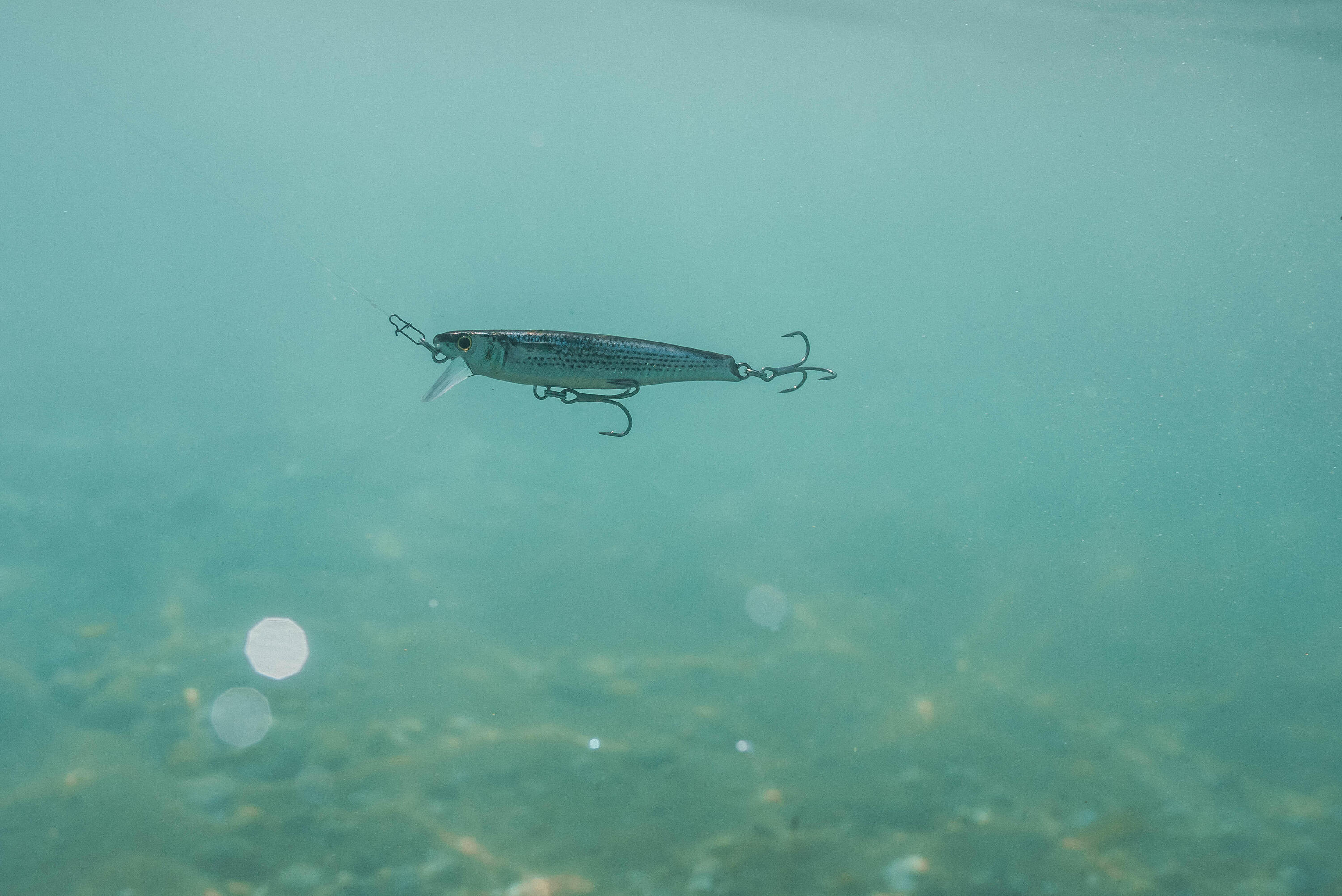Jerkbait MUJET 90 US MULET pêche au leurre en mer 10/11