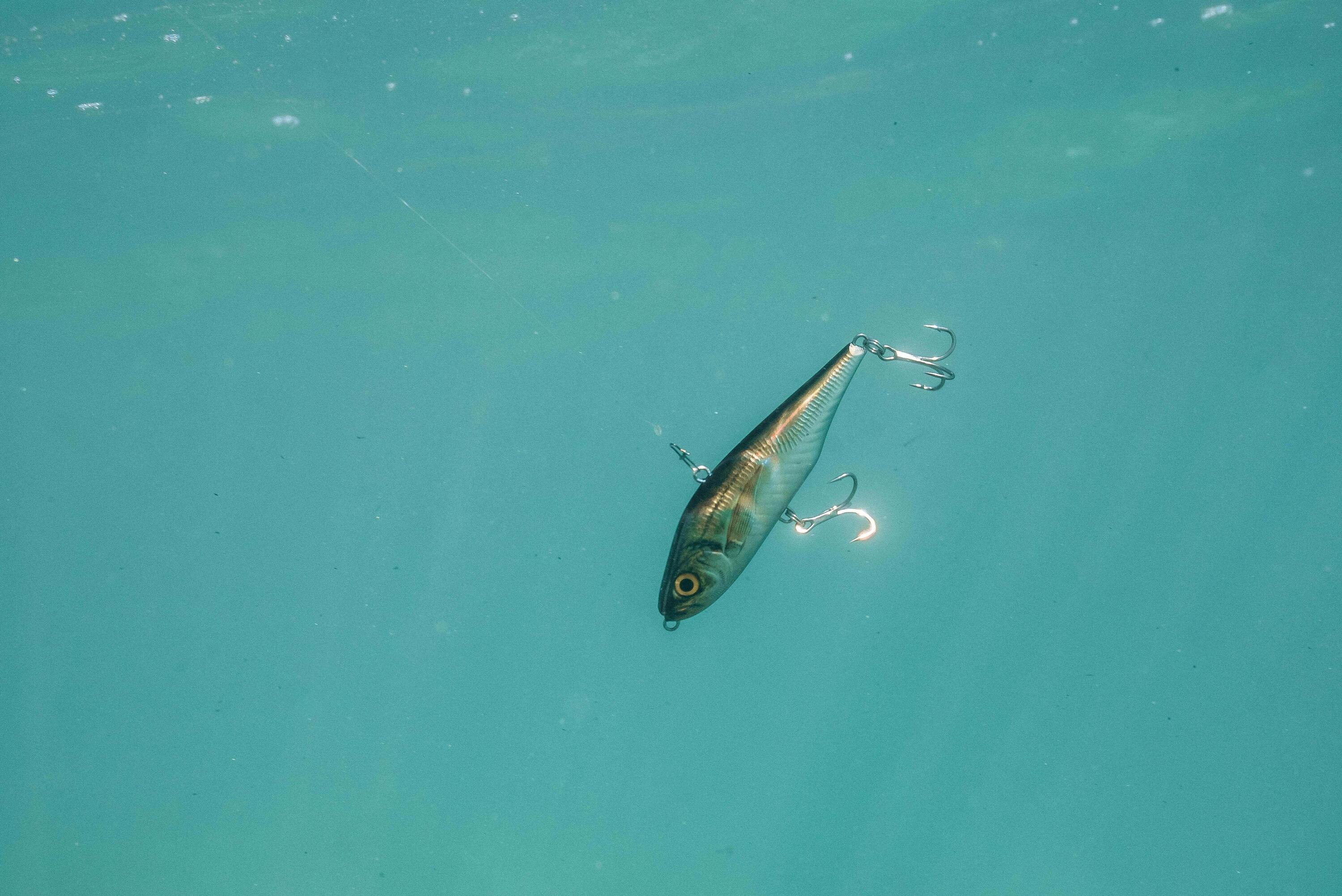 Poisson nageur AJIVIB 100 US AJI pêche au leurre en mer 10/12