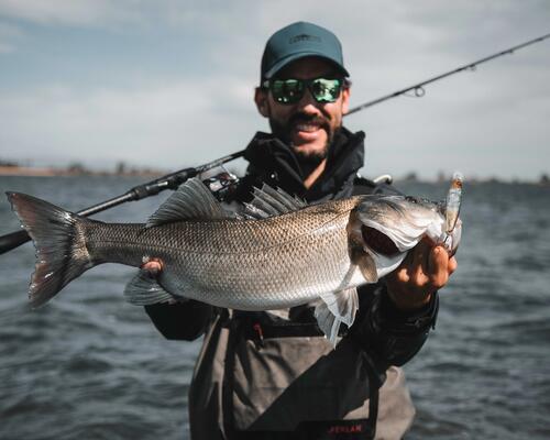 Comment bien débuter la pêche du bar aux leurres ?