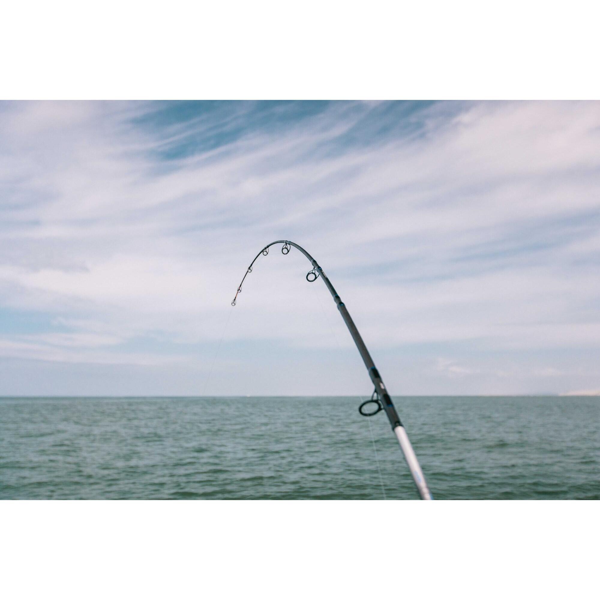 Canna da barca verticale SEABOAT 100 240 TELESCO pesca in mare