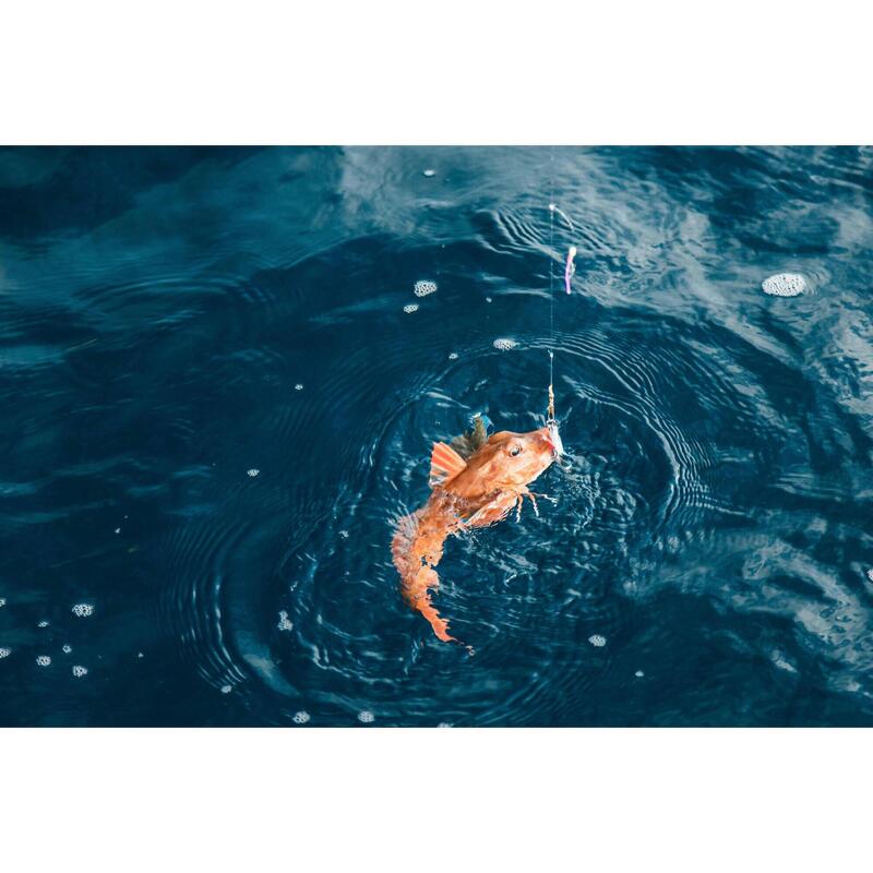 Mulinello pesca in mare BXT-500 6000 SW