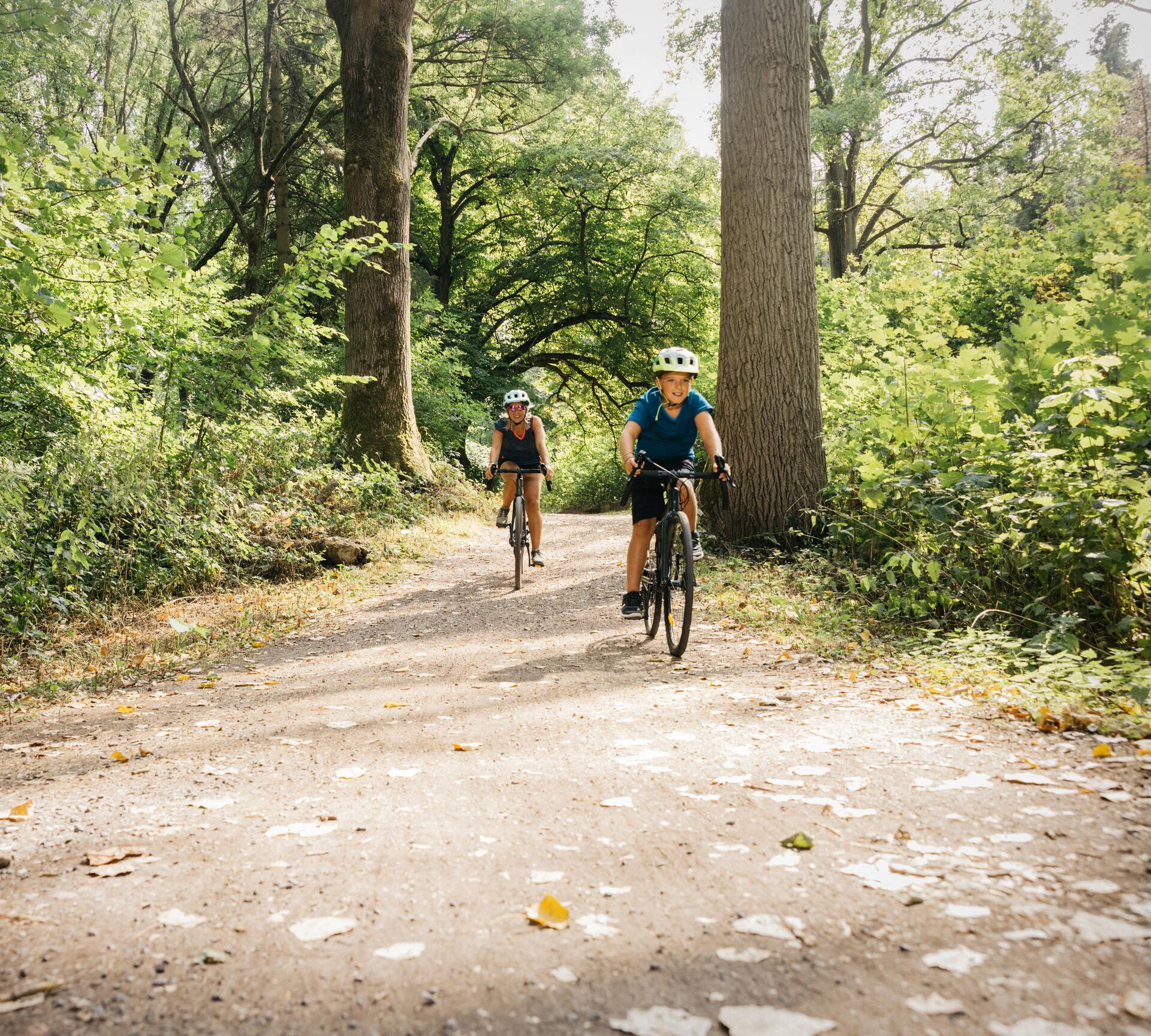 <br><br>Le vélo de route