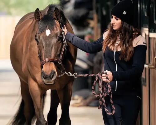 Commencer l'équitation : mon premier cours