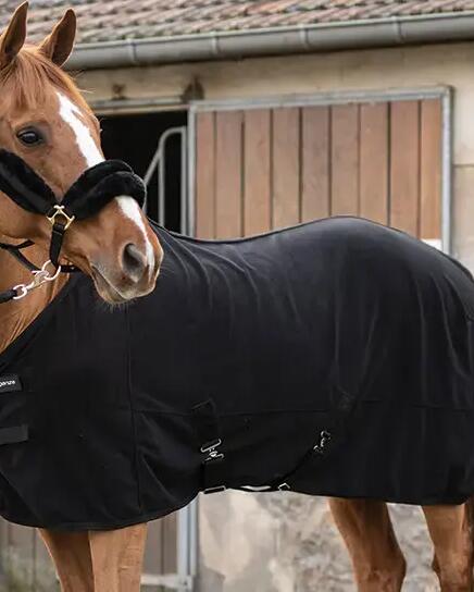 Paardendekens