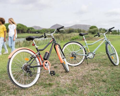 Two bikes in greenery
