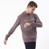 Men's Sweatshirt With Hood And Print 500-Grey