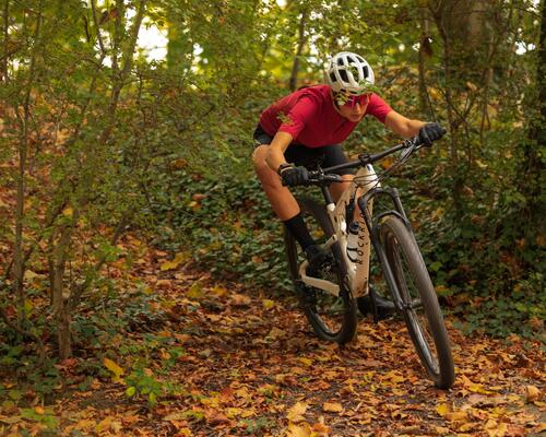 sospensione mtb