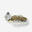 Chatter BEALEY 10,5g greenpumpkin-bianco