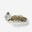 Chatterbait BEALEY 10,5G GREENPUMPKIN ALB