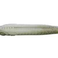 SOFT LURE SHAD WITH ATTRACTANT WXM YUBARI SHD 120 FISH