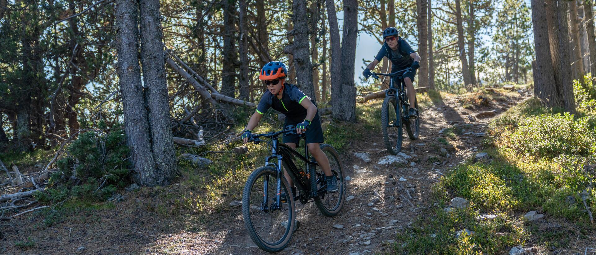 Father and son riding bikes through forest trail