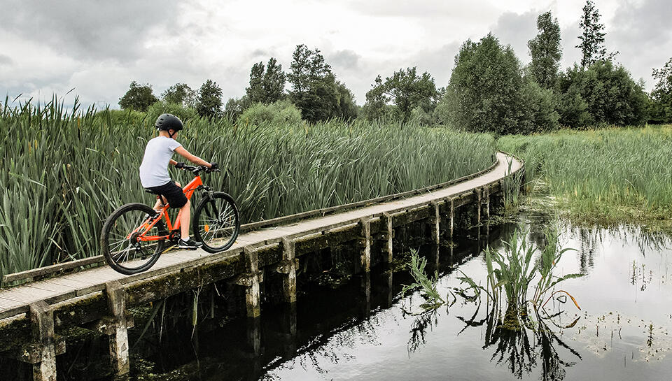 Wie wähle ich den Reifen für mein Fahrrad oder Mountainbike?