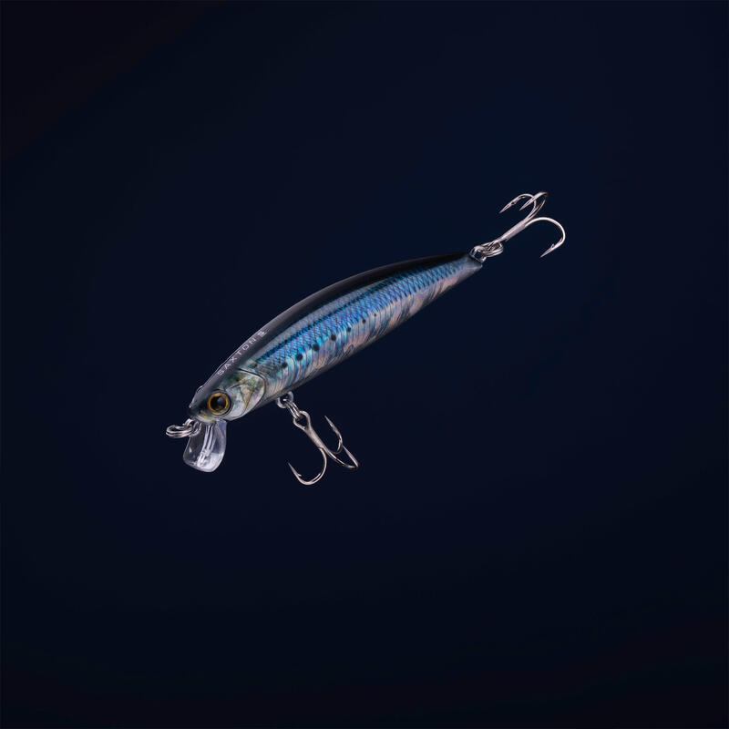 Kunstvisje voor zeevissen Saxton 75S sardine