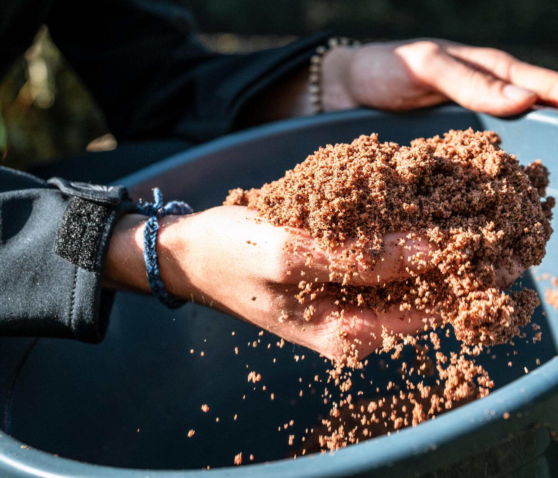 COME SCEGLIERE L’ATTREZZATURA PER COMINCIARE A PESCARE A BOLOGNESE?S