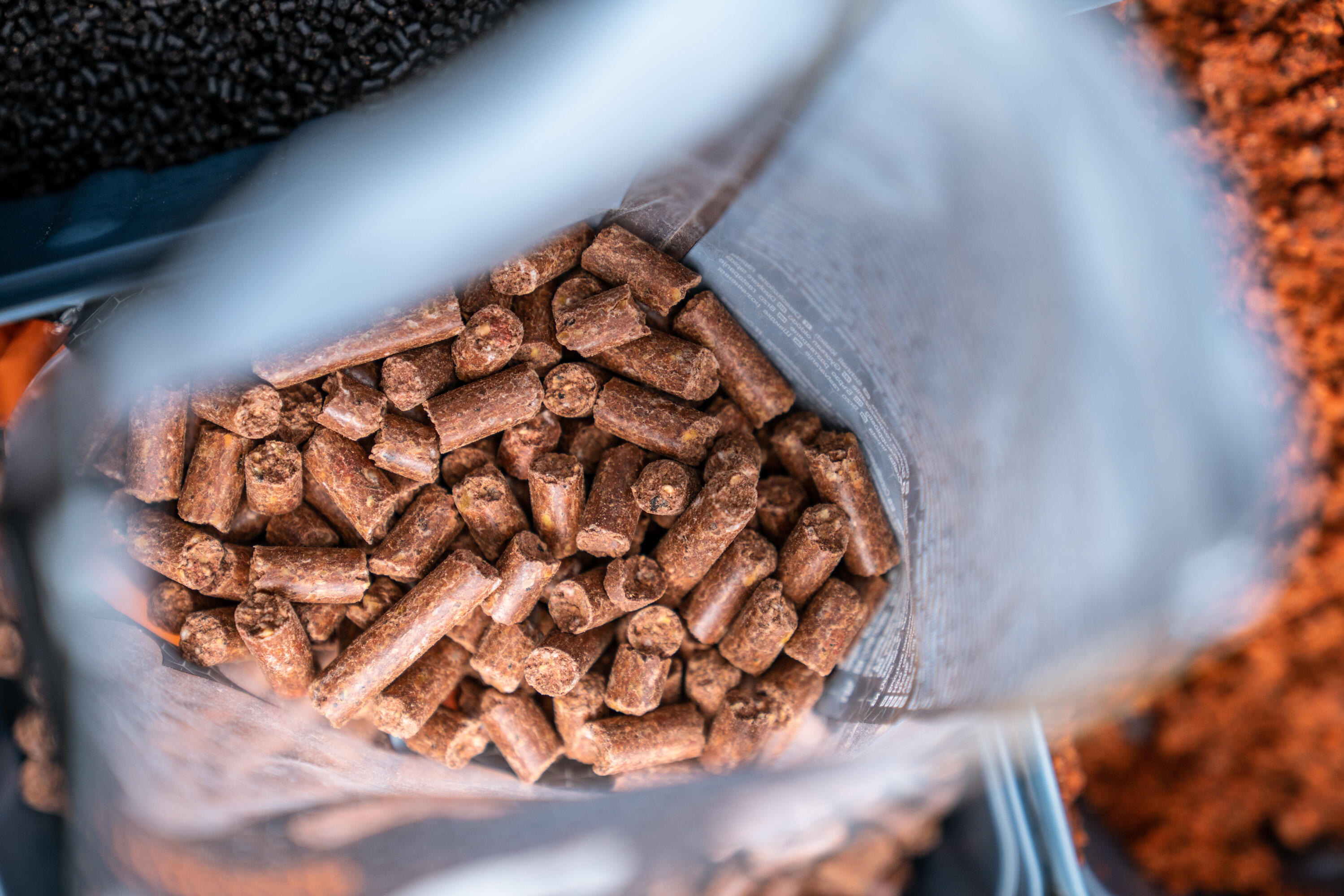 Pellet carp fishing al colpo GOOSTER BABY CORN canapa speziata 8 mm 0,7 kg 6/8