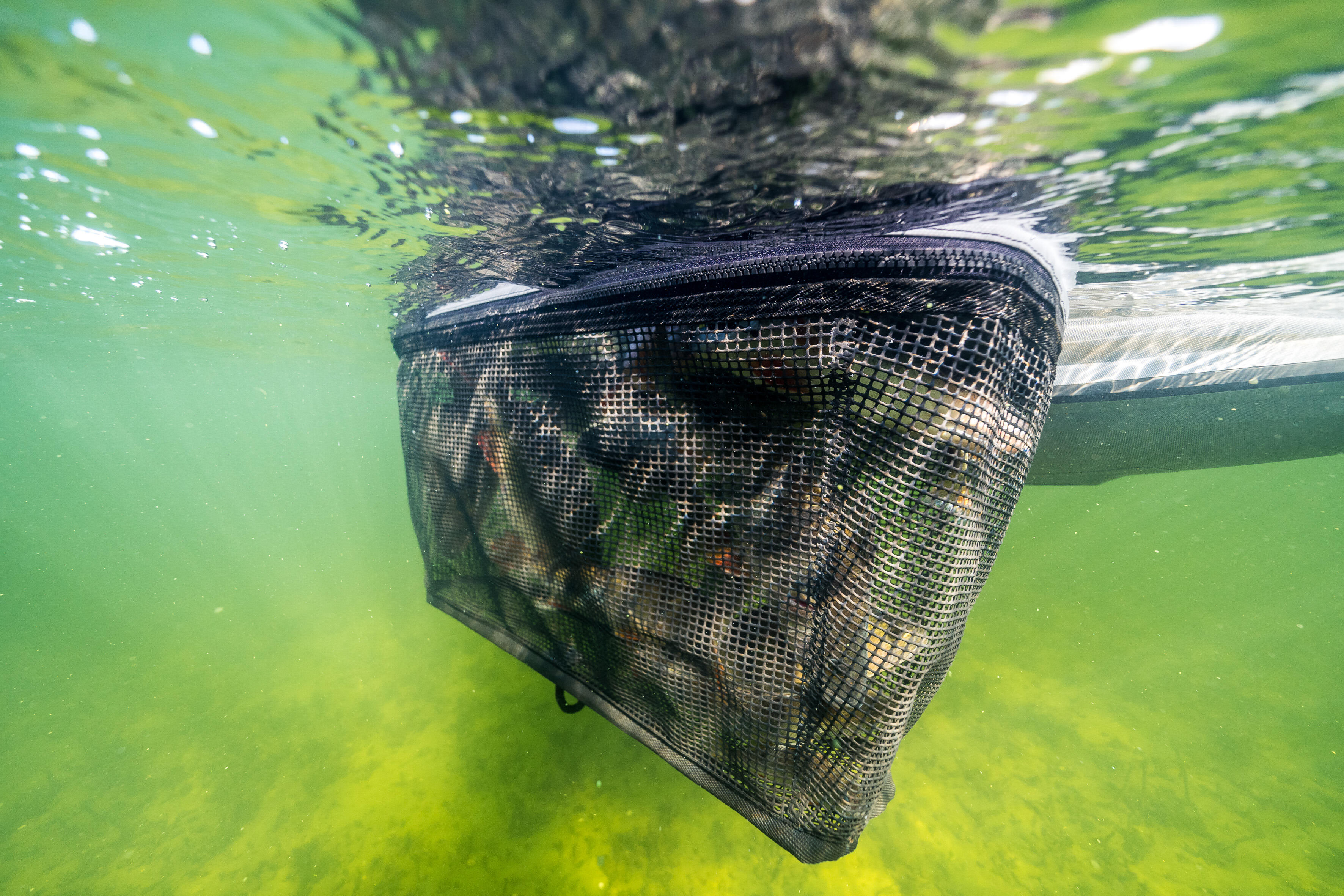 4 Pack Ice Fishing Fish Well Fish Basket Portable Fishing Basket Fishing  Net Live Bait Bucket Nylon Net Foldable Floating Fishing Basket for Live  Fish Fishing Bucket Storage Cage, Black, about 60