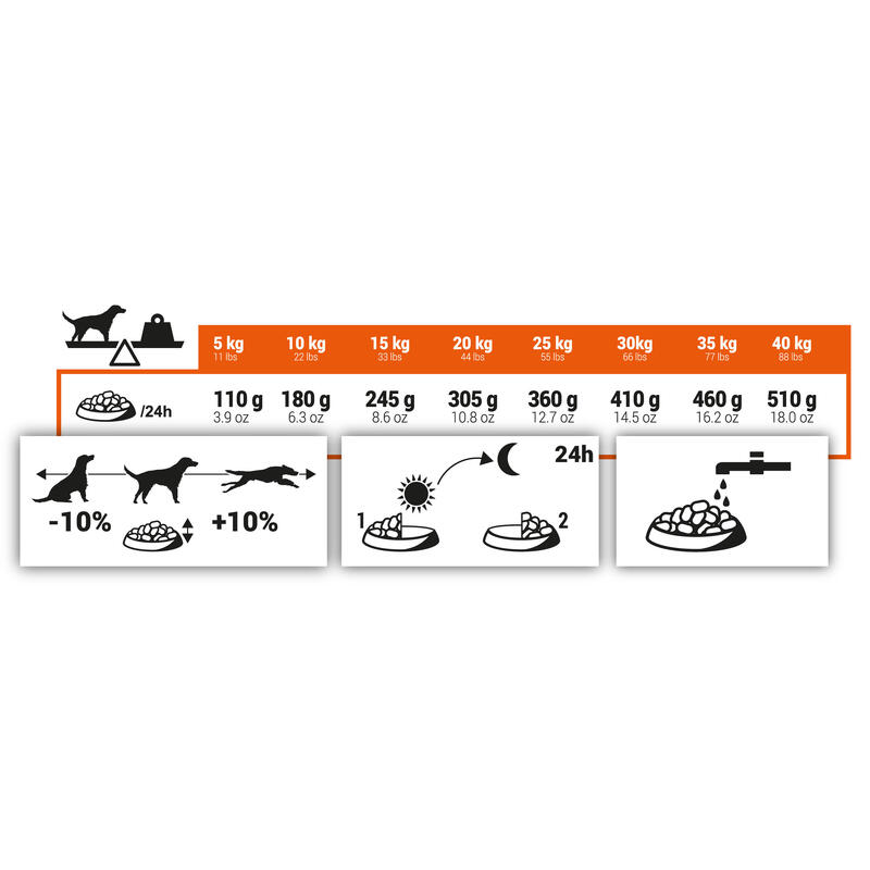 CROQUETES DE CÃO DE CAÇA ADULT SPORTIVE 12 KG