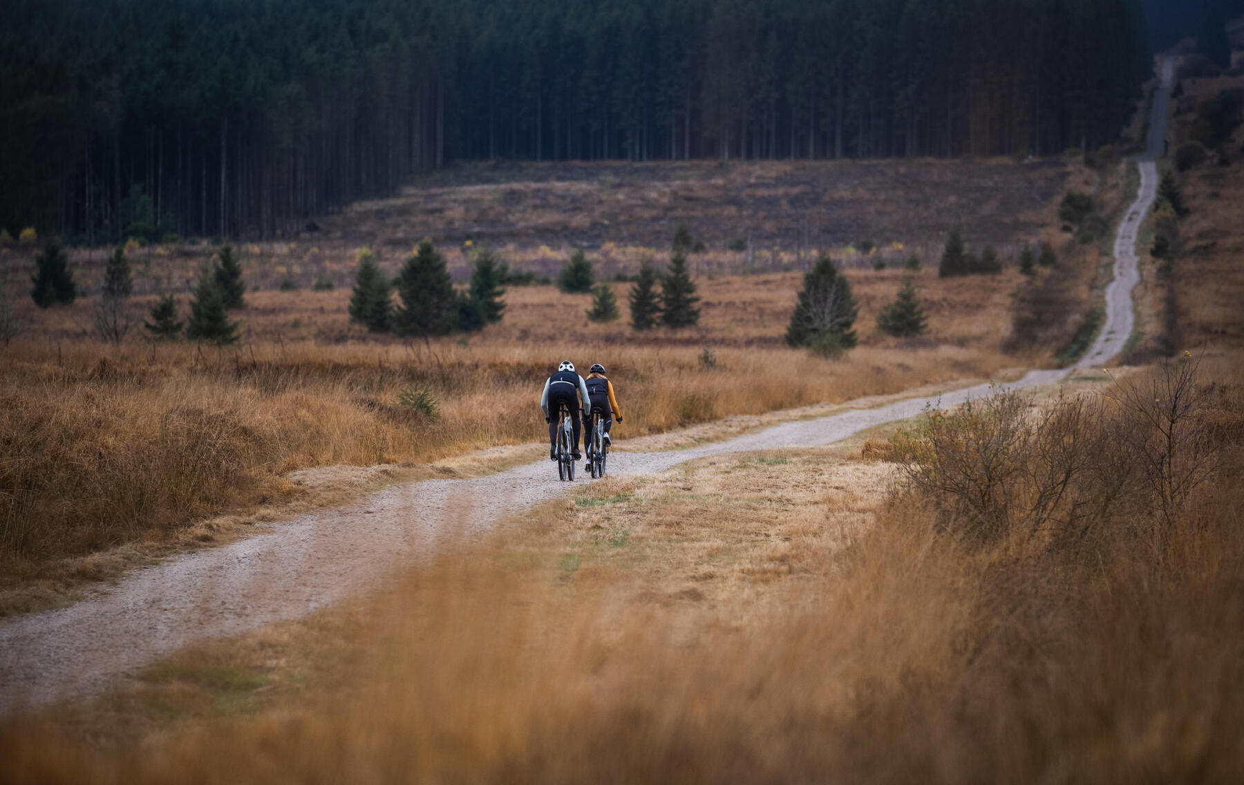 Mit unserer Hilfe dein Rennrad in ein praktisches Gravel Bike umbauen!
