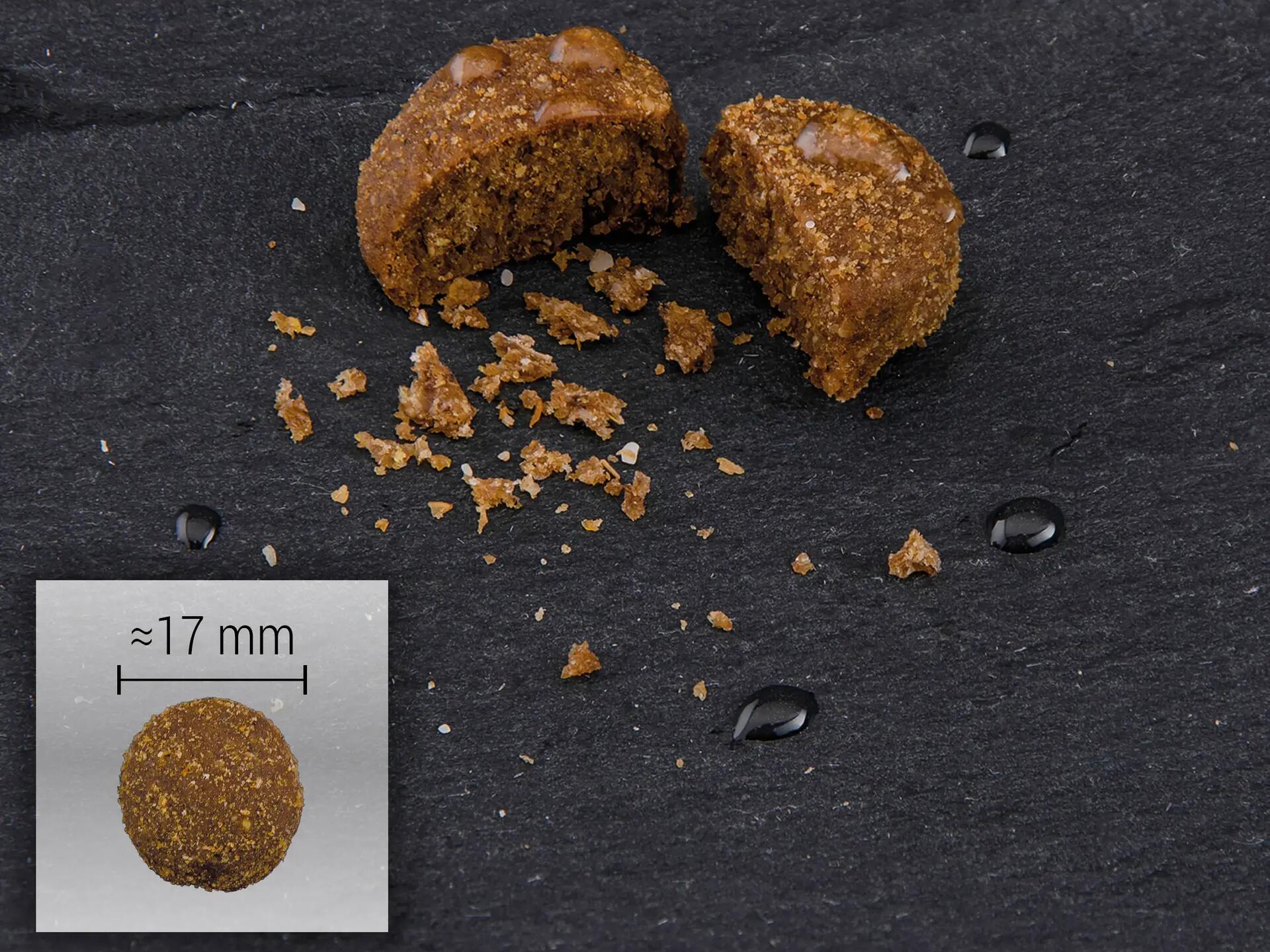 Taille d'une croquette Solognac