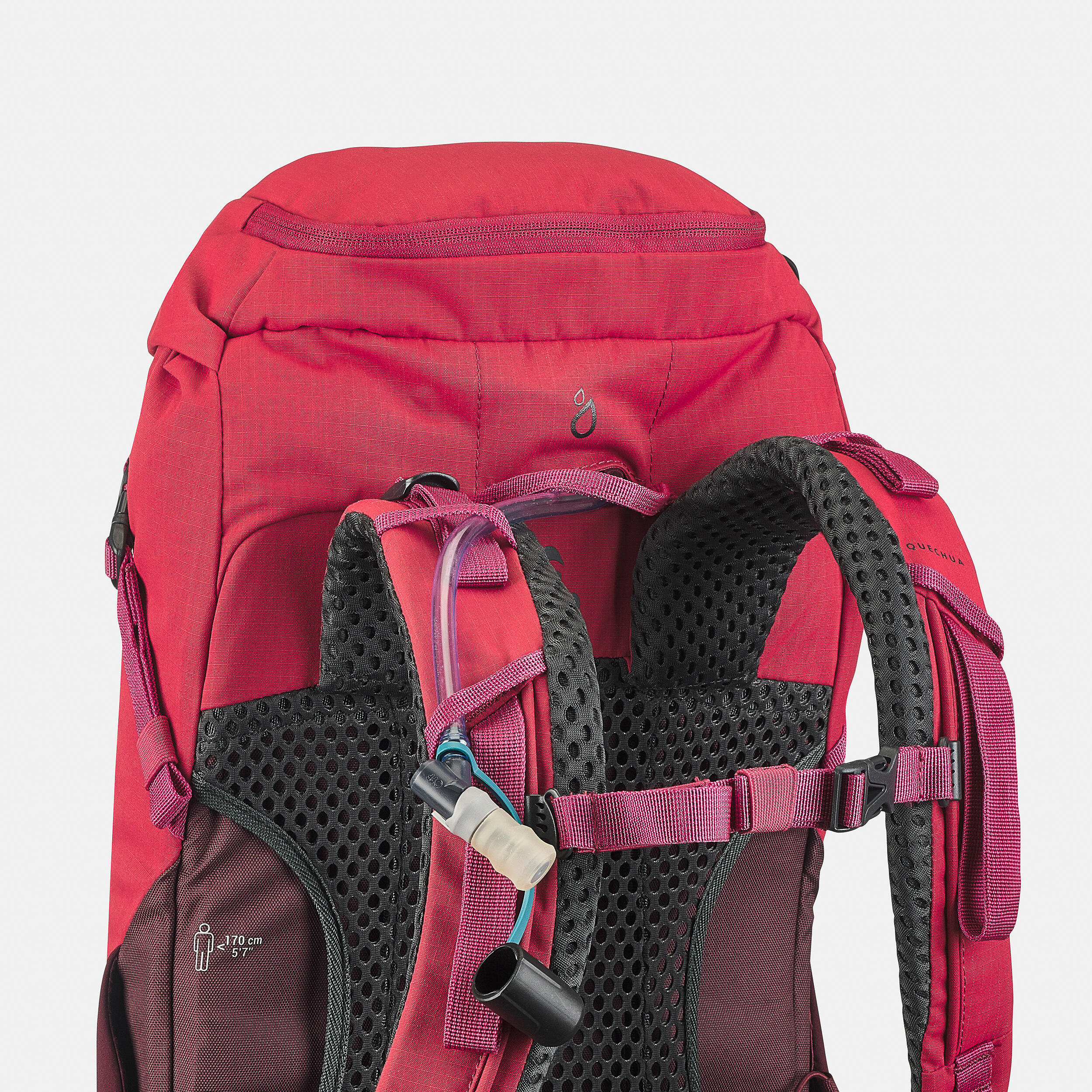 Mountain Walking 20 L Backpack MH500 11/16