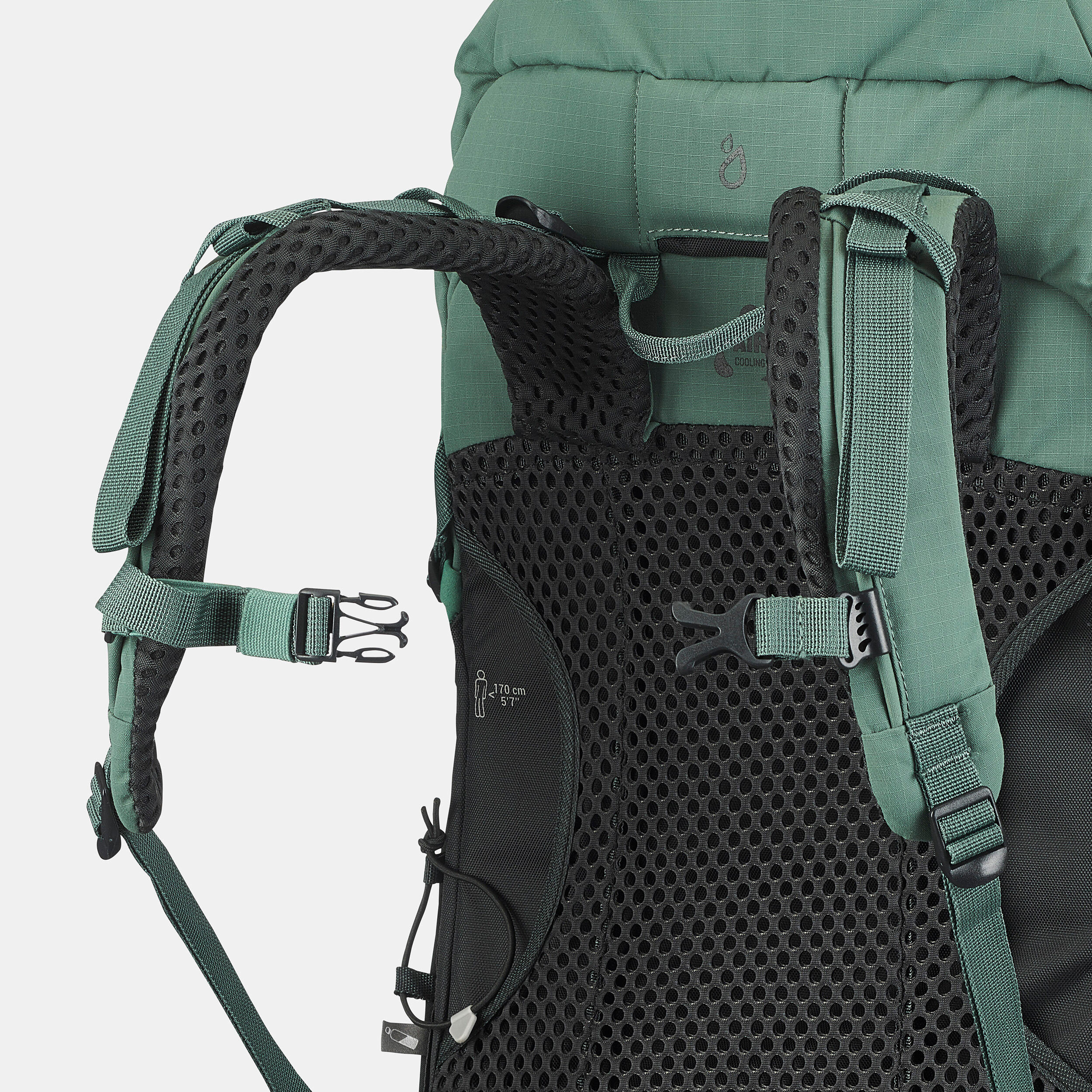 Mountain Walking 30 L Backpack MH500 11/19