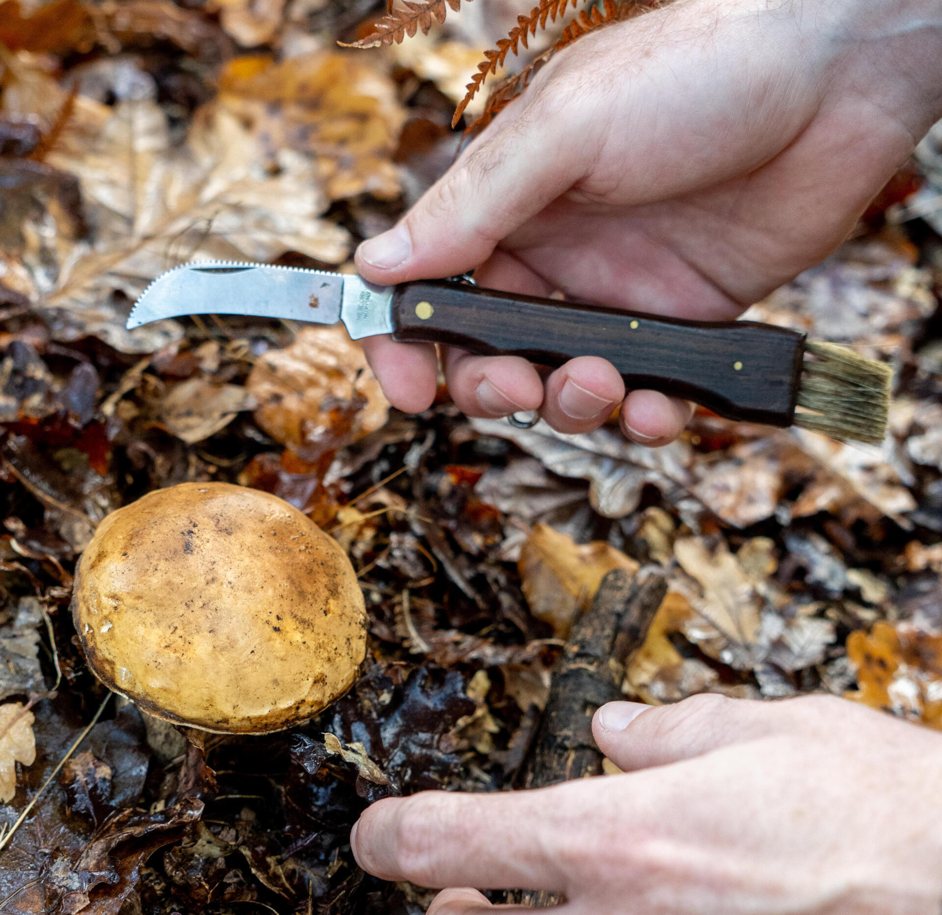 COME SCEGLIERE L'ABBIGLIAMENTO GIUSTO PER ANDARE A FUNGHI?