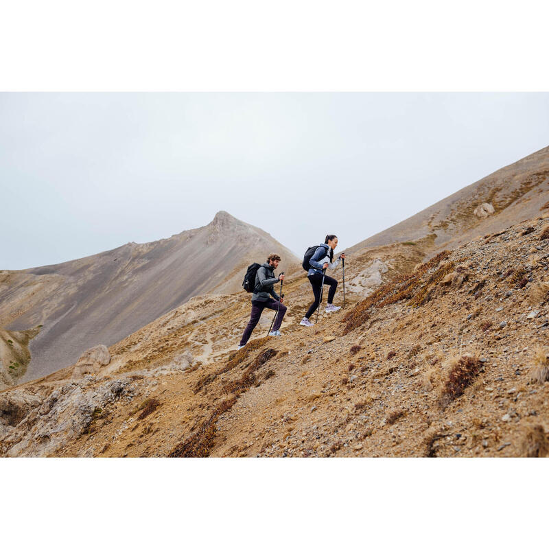 Wanderschuhe Damen Bergwandern - MH500 Light violett