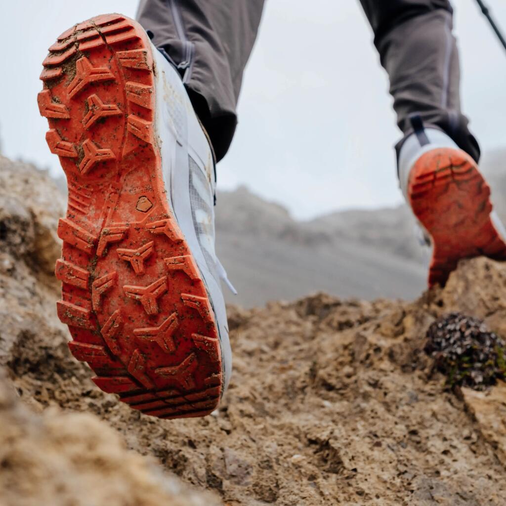 Men's mountain Hiking shoes - MH500 - Grey